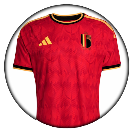 foto de equipo para Bélgica