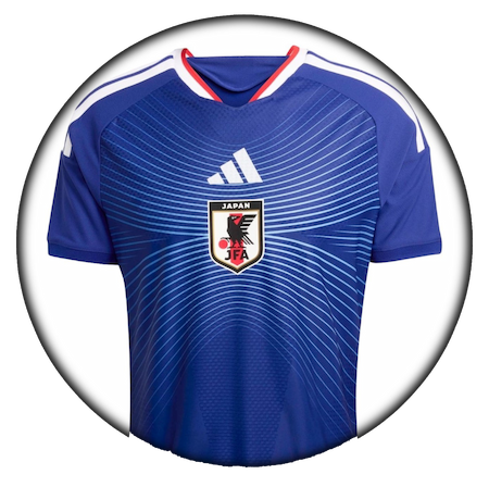 foto de equipo para Japón